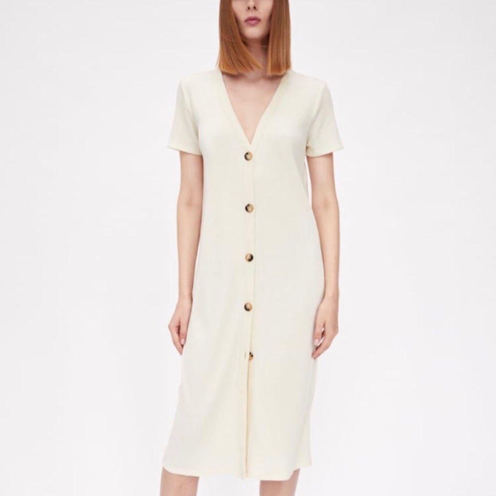 Zara dress
